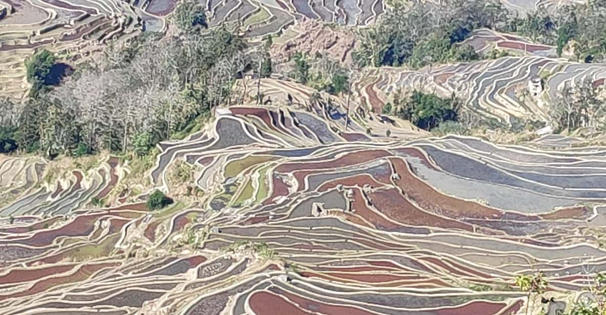 Kunming Stone Forest Yuanyang Terrace Jianshui Old Town4days - Yuanyang Terraces Wonders