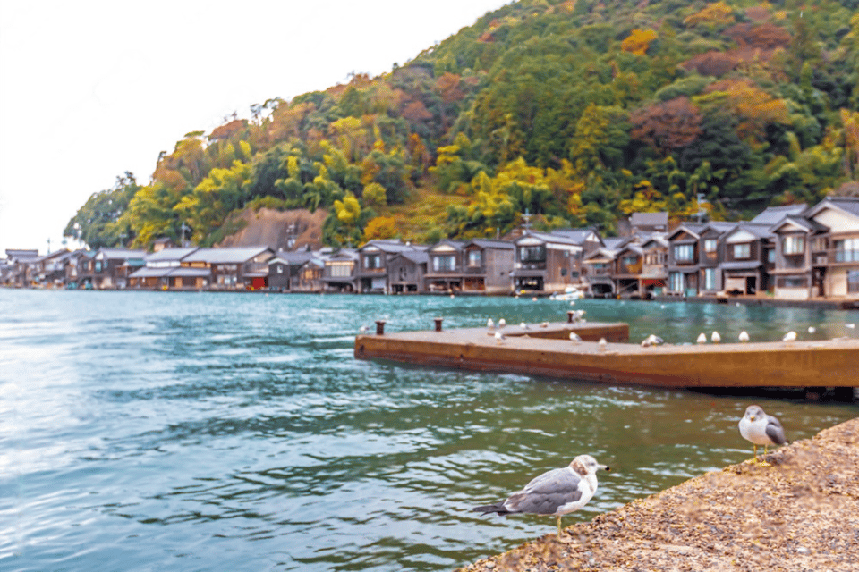 Kyoto: Amanohashidate and Ine Bay Private Trip - Inclusions and Services