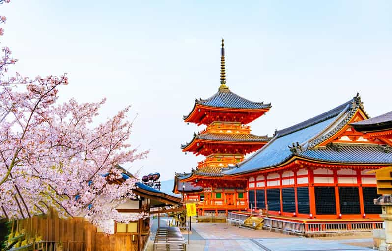 Kyoto and Nara Day Tour With Kiyomizu-Dera,Nara Park&Temple - Sightseeing Activities