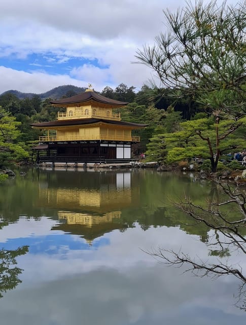 Kyoto: Customized One Day Car Tour - Experience Highlights