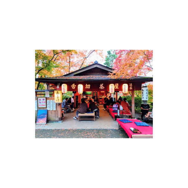 Kyoto: Full Day UNESCO And Historical Sites Private Car Tour - Important Information