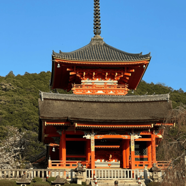 Kyoto: Full Day UNESCO And Historical Sites Private Car Tour - Accessibility Information