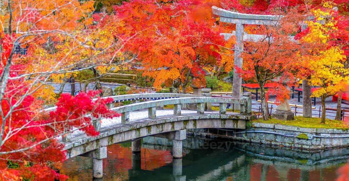 Kyoto: Higashiyama Hues: Discover Kyotos Autumn Magic - Cultural Insights and Experiences