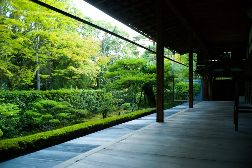 Kyoto: Nighttime Zen Meditation and Matcha Tea Experience - Restrictions and Guidelines