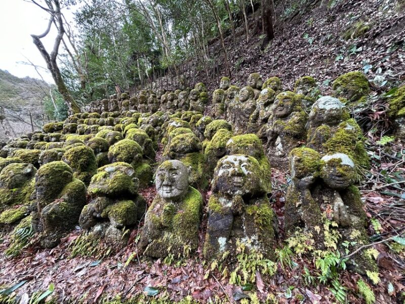 Kyoto Private Tour From Osaka/Kobe Port With Japanese Guide - Customization and Flexibility