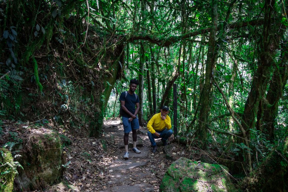 La Chorrera and Chiflon Waterfalls Private Hike Tour - Tour Description