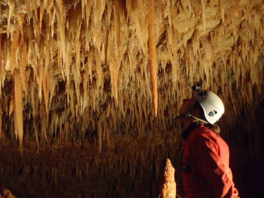 La Ciotat: Caving in Calanques National Park Half-Day Tour - Itinerary Details