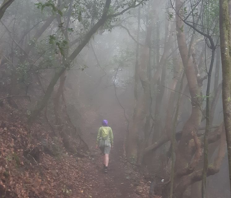 La Gomera: Hiking in the Mystical Garajonay National Park - Transportation and Hiking Details