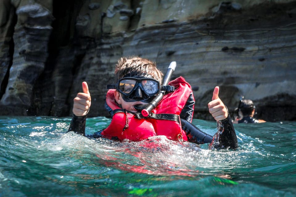 La Jolla: Leopard Shark Guided Snorkeling Tour - Customer Feedback