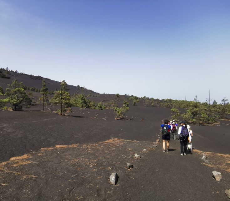 La Palma: Guided Tour to Tajogaite Volcano With Transfer - Hiking and Difficulty