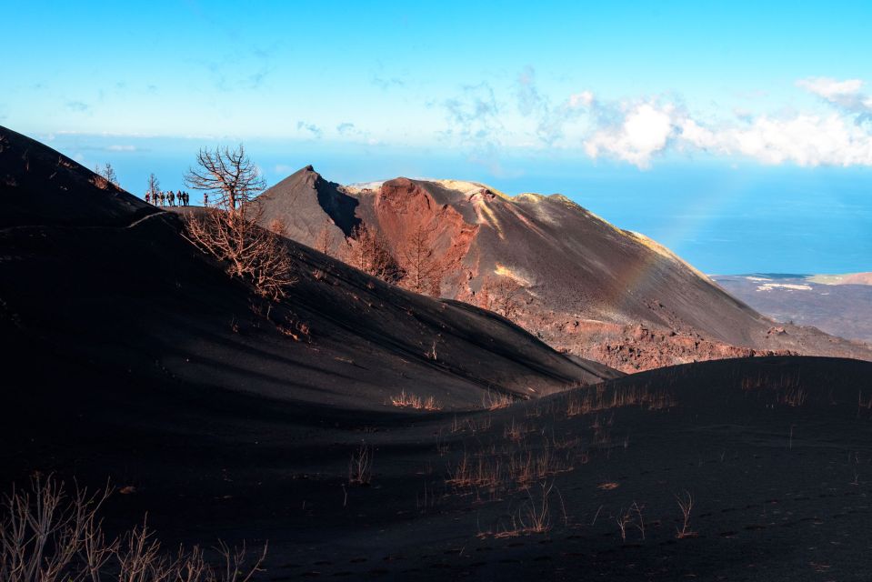 La Palma: Guided Volcano Trekking Tour - Inclusions and Logistics