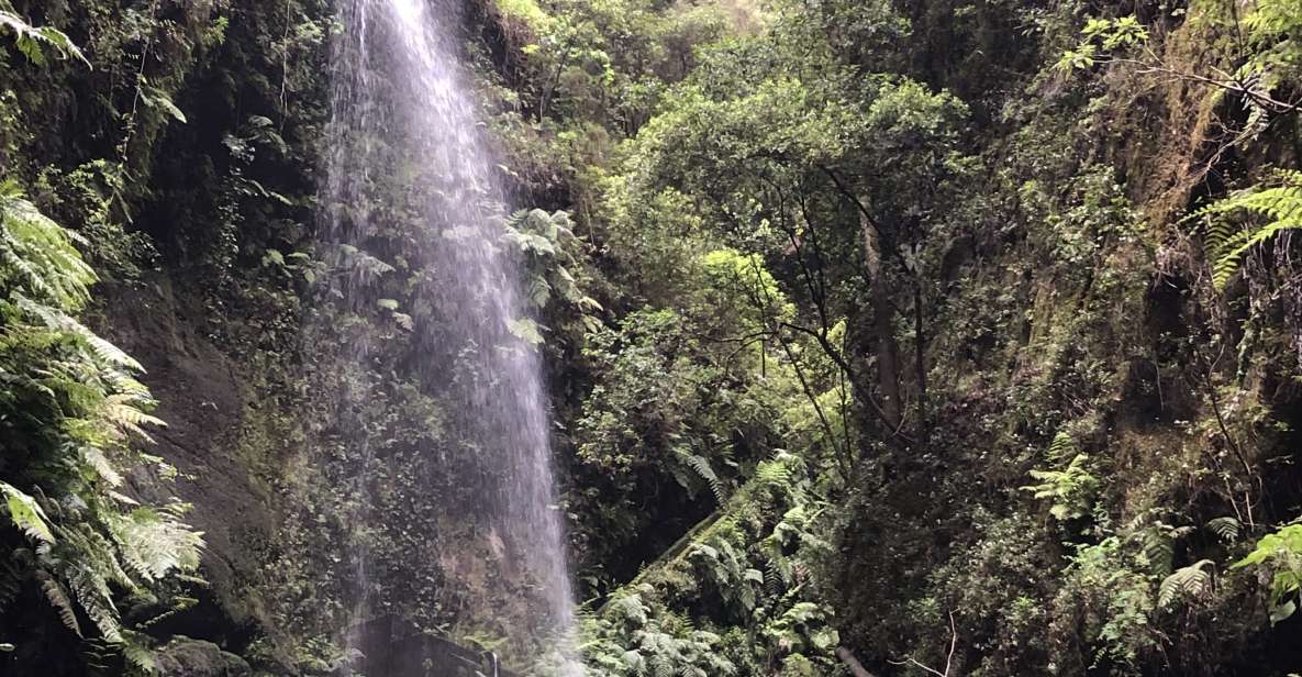 La Palma: North Island Bus Tour With Ron Aldea Distillery - Inclusions