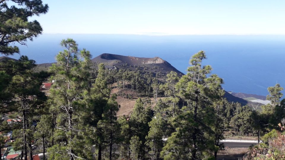 La Palma: South Tour to the Volcanoes by 4x4 Bus - Highlights of the Experience