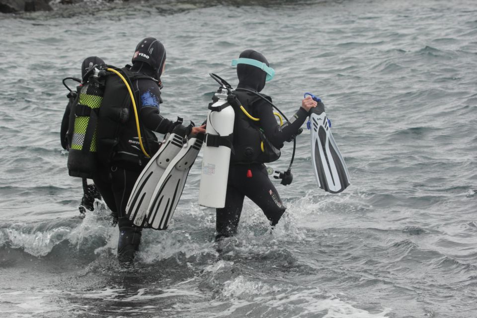 La Palma: SSI Try Scuba Program - Dive Experience Details