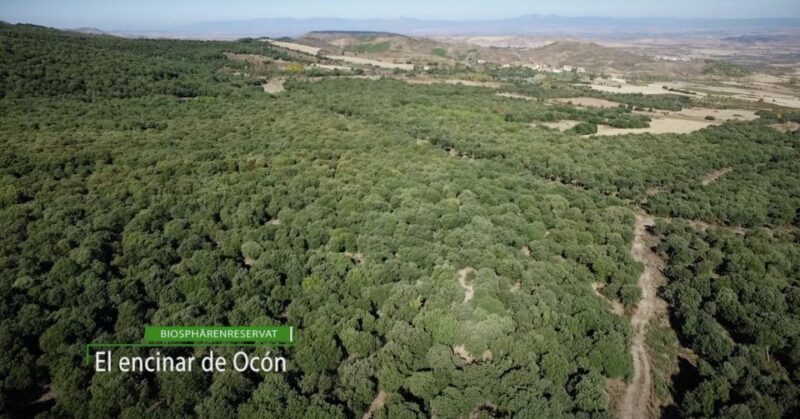 La Rioja: Jamon Iberico Farm Tour and Tasting With Wine - Tasting Details