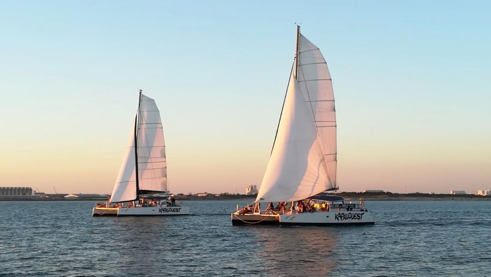 La Rochelle: Catamaran Cruise - Scenic Views to Enjoy