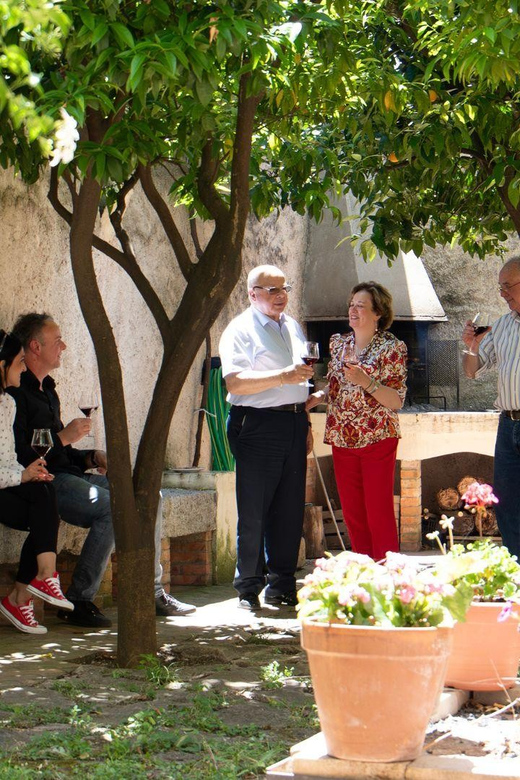 Laconi: Visit a Winery With Wine Tasting - Wine Tasting Details
