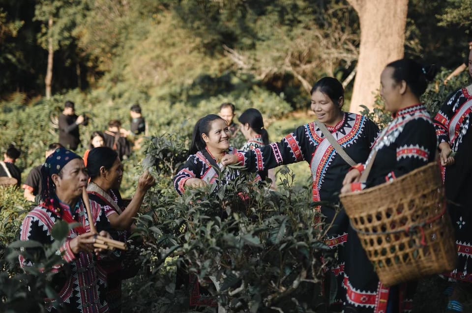 LAHU Tea Tourism Experience - Itinerary Details