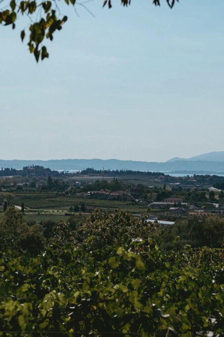 Lake Garda: Vineyard Tour and Tasting on the Hills - Customer Testimonials