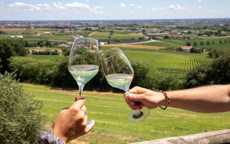 Lake Garda: Wine & Local Products Tasting With Fiat Topolino - Artisanal Cheese and Olives