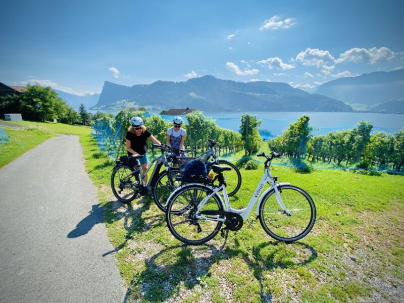 Lake Lucerne Peninsula E-Bike Tour - Inclusions and Equipment