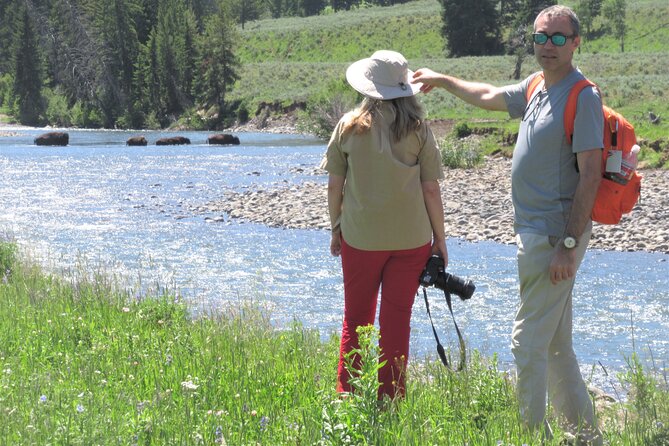 Lamar Valley Safari Hiking Tour With Lunch - Whats Included in the Tour