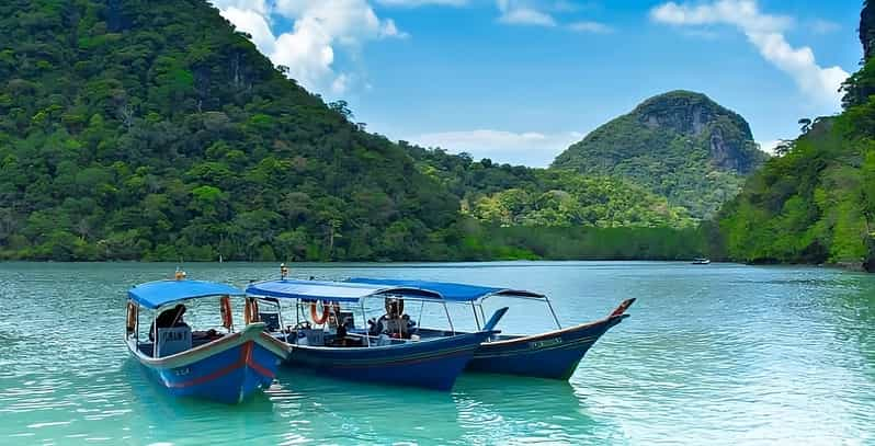 Langkawi: Mangrove Tours With Options - Inclusions and Options