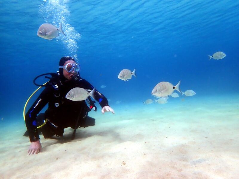 Lanzarote: Small Group Beginner Dive Course Costa Teguise - Safety Measures