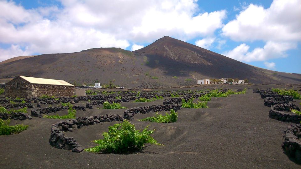 Lanzarote: The Geria Vineyards Hiking Tour - Inclusions