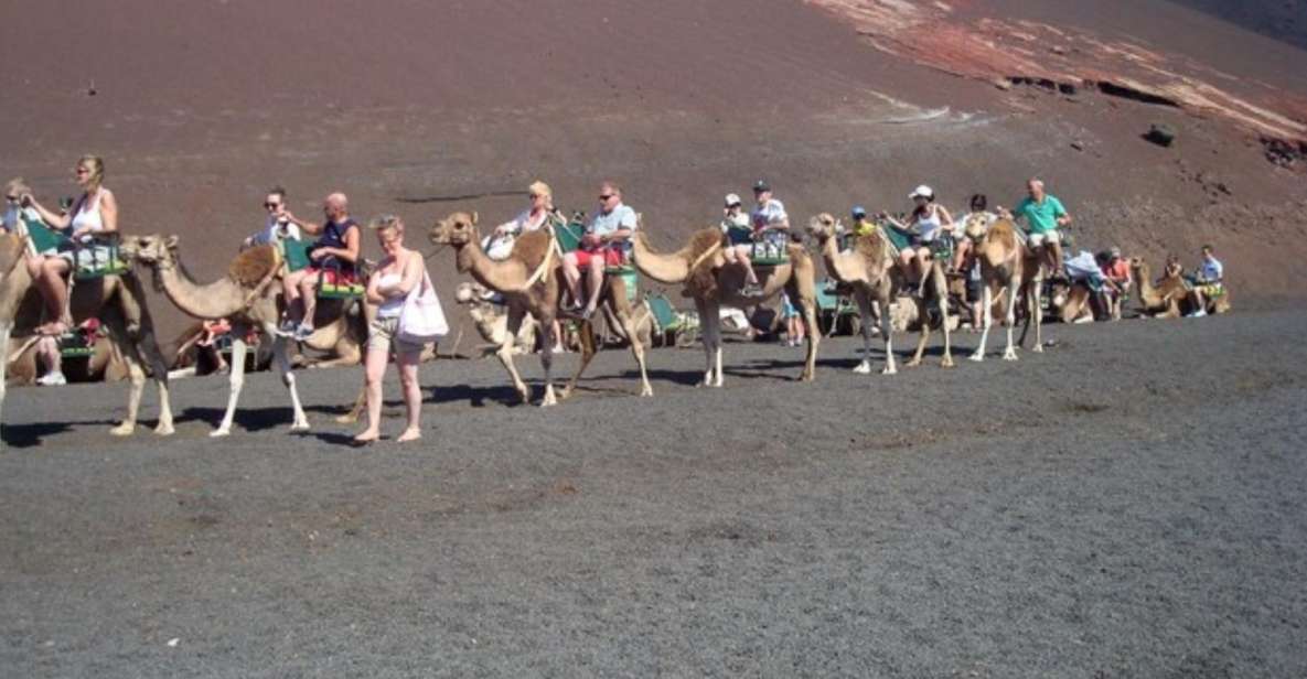 Lanzarote: Timanfaya National Park Tour - Inclusions and Exclusions