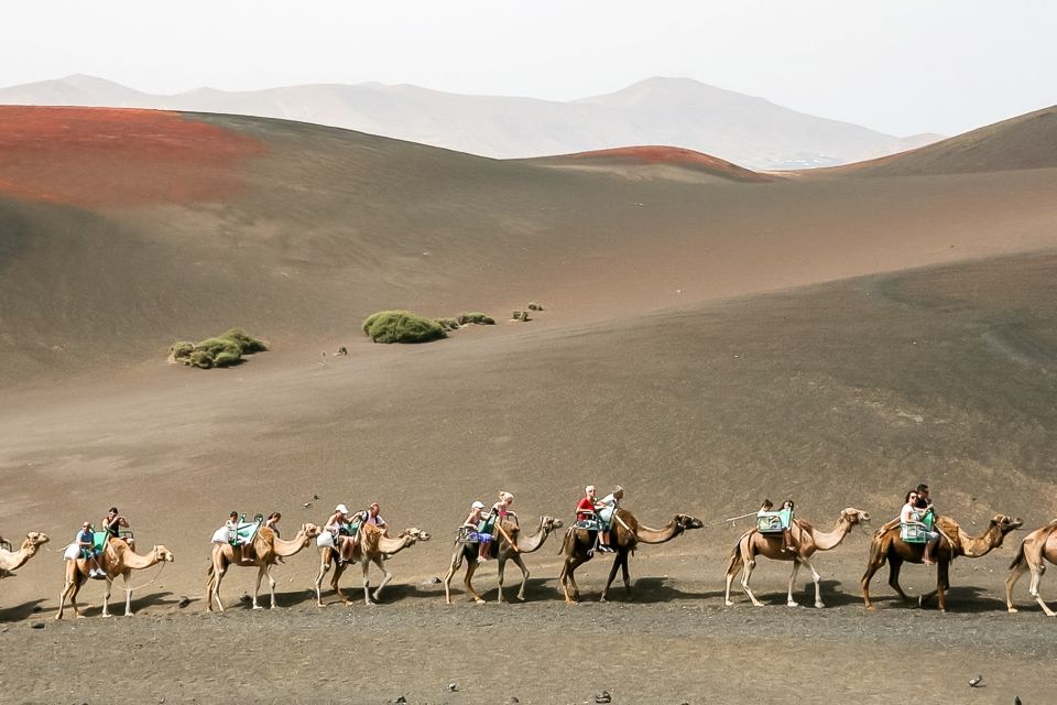 Lanzarote: Timanfaya National Park Volcanic Craters Tour - Transportation and Pickup Details