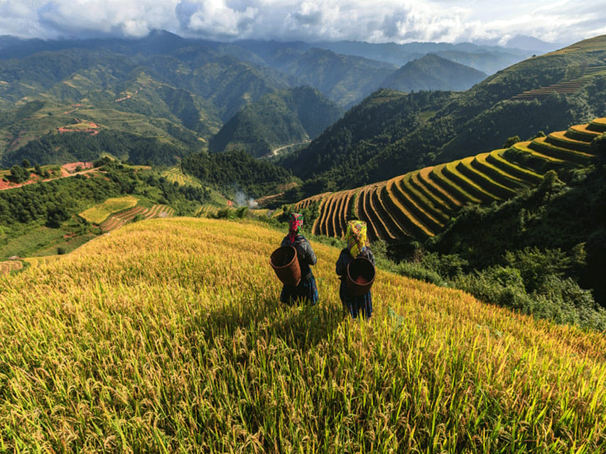 Lao Chai: Full-Day Ta Van Trek Tour From Sapa - Trekking Experience