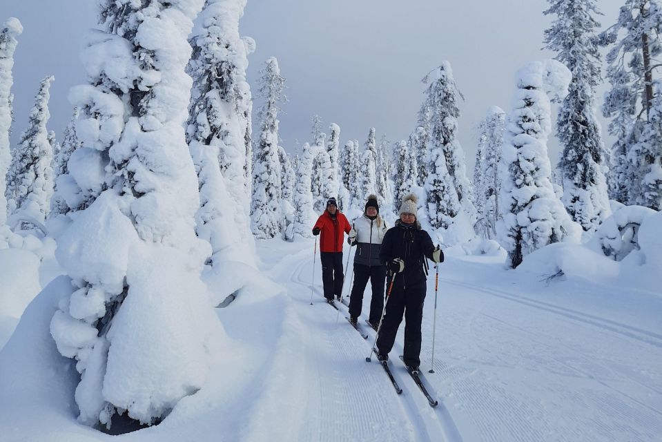 Lapland Levi: Cross-country Skiing for Beginners - Booking Your Experience