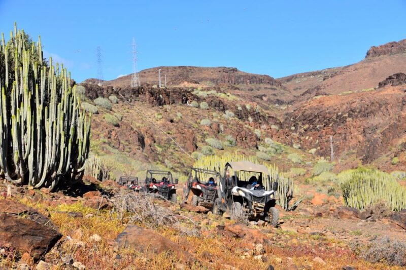Las Palmas: Gran Canaria Guided Buggy Tour - Location and Duration