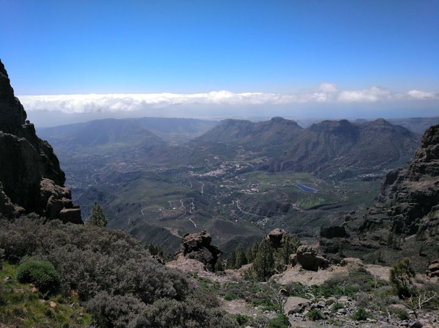 Las Palmas: Maspalomas to the Tejeda Mountains Grand Tour - Tour Experience