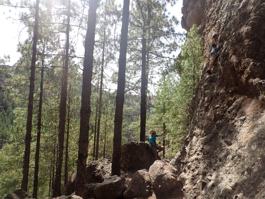 Las Palmas: Sunset Mountain Climbing Trip Near Roque Nublo - Landscape and Scenery