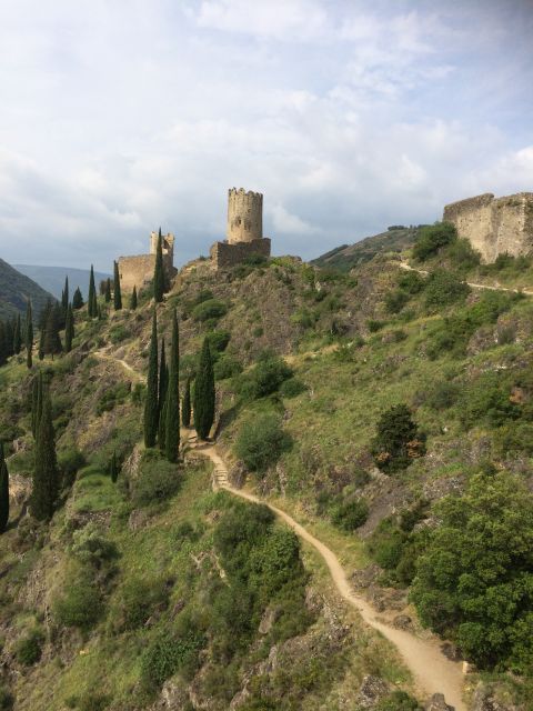 Lastours, Vineyard, Minerve, Canal Du Midi From Carcassonne - Vineyard Wine Tasting