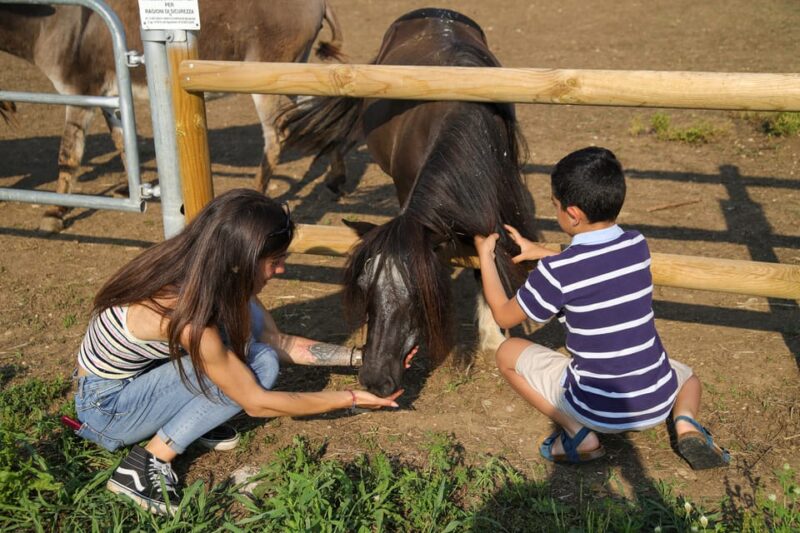 Lazise: Biodynamic Farm Tour and Natural Wine Tasting - Inclusions and Accessibility