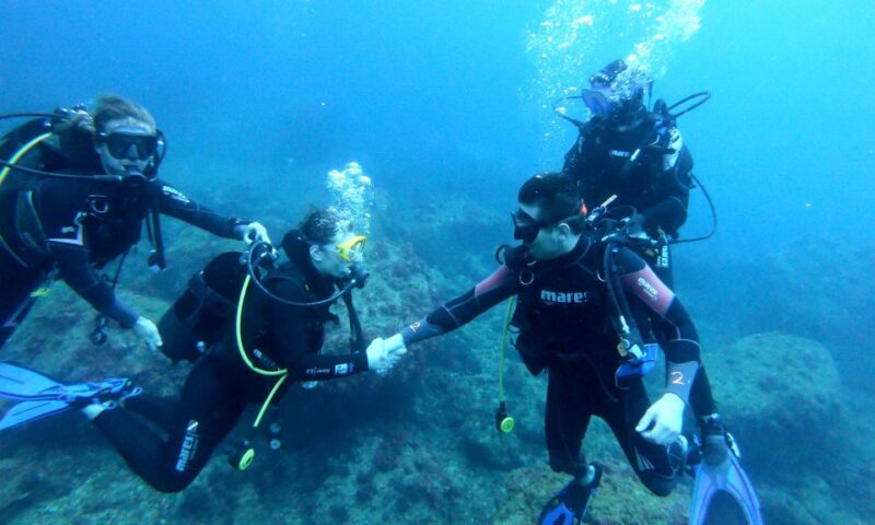 LEstartit: Dive and Snorkeling in Montgrí Natural Park - Safety and Accessibility