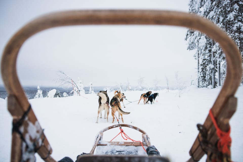 Levi: 15-Kilometres Self-Driving Husky Tour - Safety Guidelines