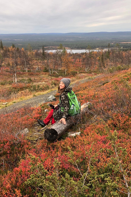 Levi: Autumn Hike and Reindeer Farm Visit - Whats Included in the Tour