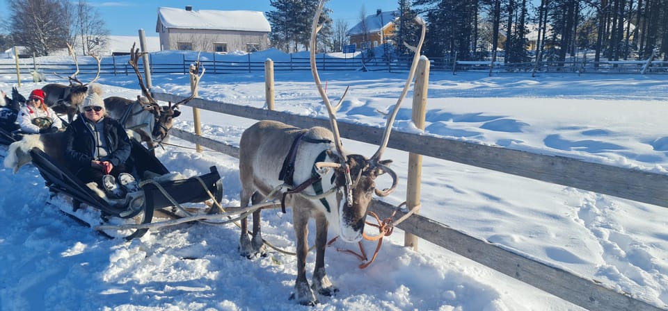 Levi: Canoeing Day Trip With Reindeer Farm Visit - Reindeer Farm Visit