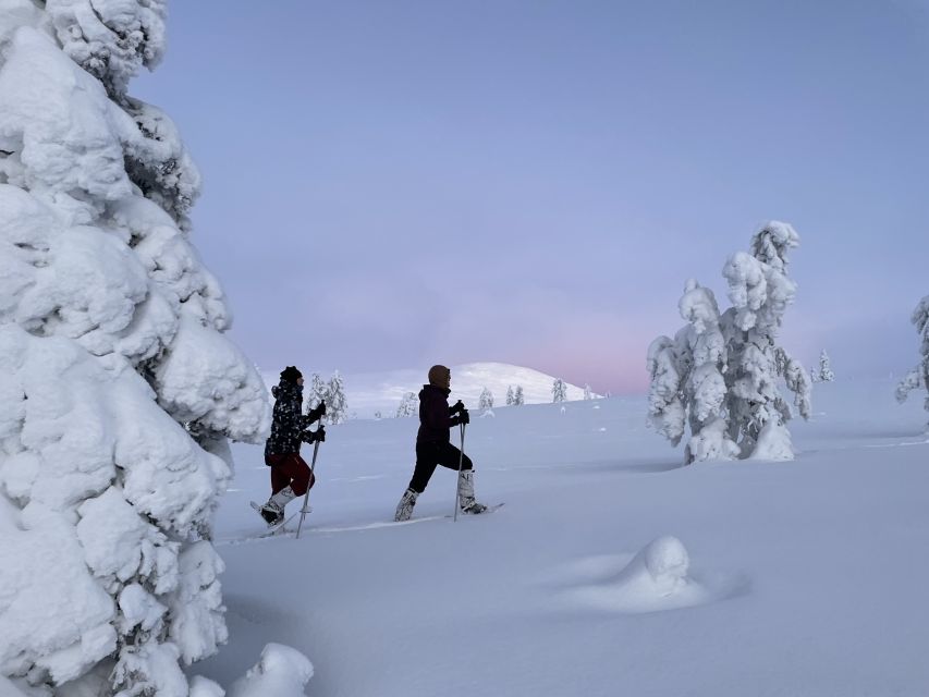 Levi: Pallas-Ylläs National Park Snowshoeing Tour - Snowshoeing Details