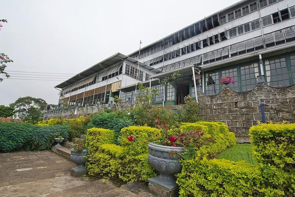 Liptons Seat and Tea Factory & Tea Plantation Day Tour - Inclusions