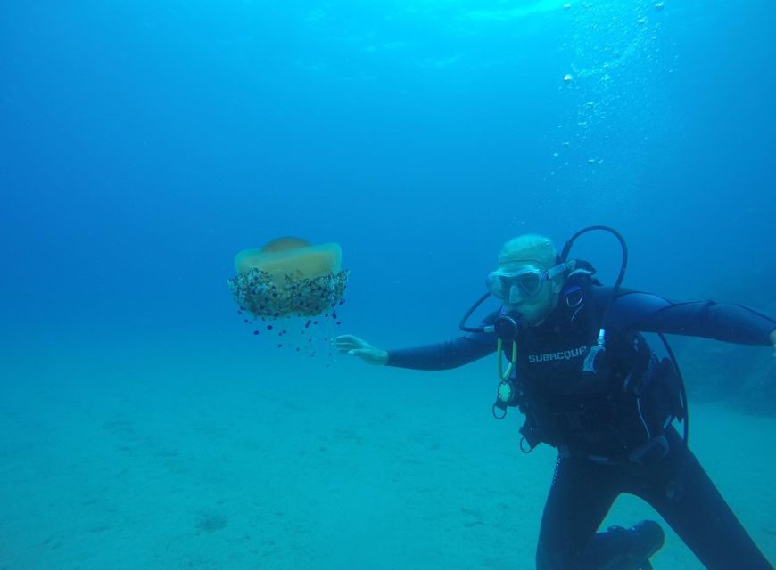 Lloret De Mar: Scuba Diving Experience No License Required - Itinerary Details