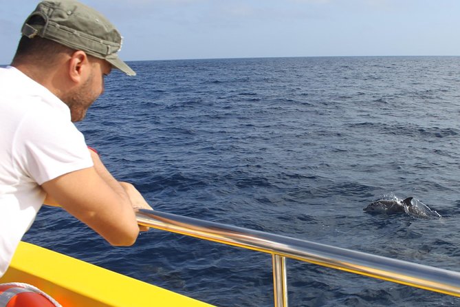 Lobos Island - the Dolphin Route - Boat Ride and Hotel Transfers