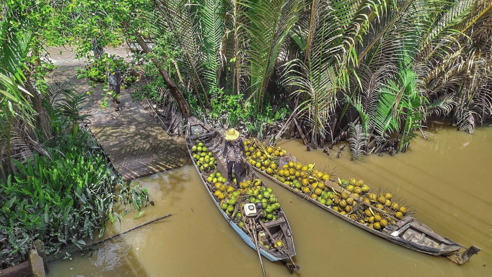 Local Touch-Less Touristy Mekong Delta Ben Tre Day Trip - Transportation and Logistics