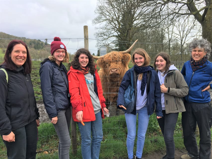 Loch Lomond National Park Tour With 2 Walks - From Glasgow - Meeting and Directions