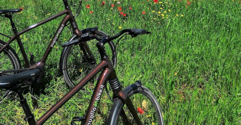 Locorotondo: Alberobello Self-Guided E-Bike Tour & Focaccia - Inclusions