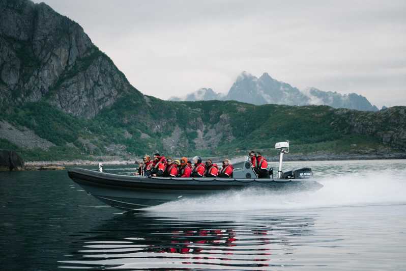 Lofoten: Trollfjord Sea Eagle Safari by RIB Boat - Equipment and Safety